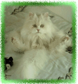 Beeth._sitzt__ Beeth._sitzt__