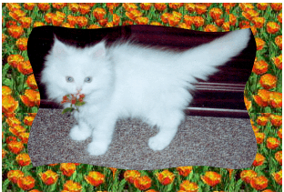 Beethoven1 Beethoven1