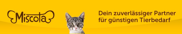 Gatos