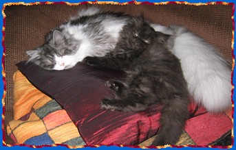 IMG_1708 IMG_1708