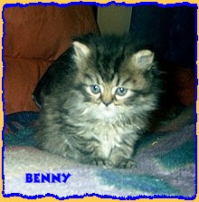 benny6