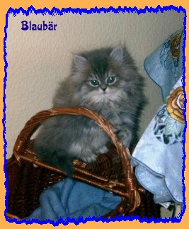 blaubar4