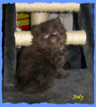 jody6 jody6
