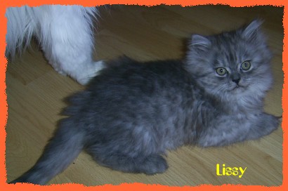 lissy7 lissy7