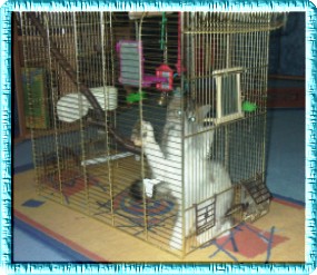 vogelkafig